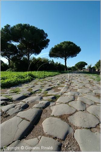 ostiaantica_8552.jpg