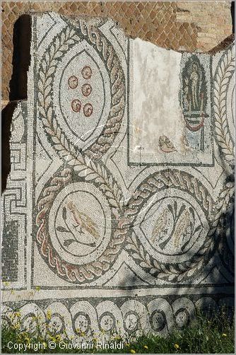 ostiaantica_8733.jpg