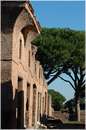 ostiaantica_8583.jpg