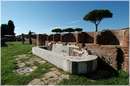 ostiaantica_8674.jpg