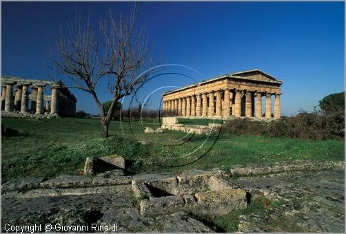 paestum0005.jpg