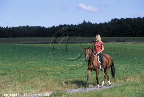 AUSTRIA - BURGENLAND - passeggiata a cavallo nel Burgenland centrale