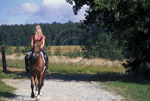 AUSTRIA - BURGENLAND - passeggiata a cavallo nel Burgenland centrale