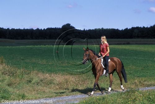 AUSTRIA - BURGENLAND - passeggiata a cavallo nel Burgenland centrale