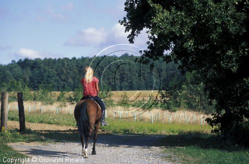 AUSTRIA - BURGENLAND - passeggiata a cavallo