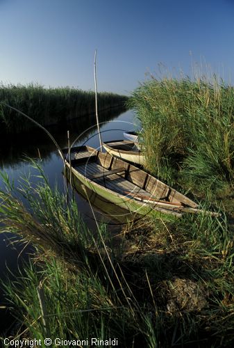 AUSTRIA - BURGENLAND - Rust am Neusiedlersee - le rive del lago