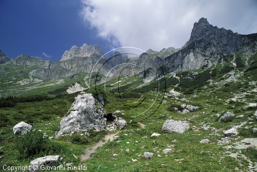 AUSTRIA - (FILZMOOS) - la valle a sud del Grosse Bischofsmutze