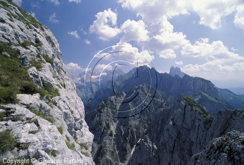 AUSTRIA - SALZKAMMERGUT (GOSAU) - veduta del gruppo delle Gosaukamm dalla vetta del Donnerkogel (2055 mt:)