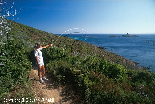 corsica_capocorso0102.jpg