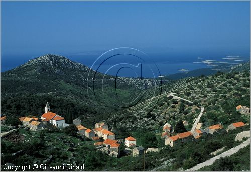 CROATIA - (Croazia) - ISOLA DI HVAR - paesaggio con il paese di Grablje