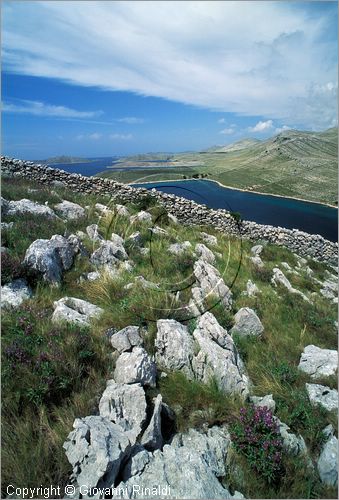 CROATIA - KORNATI (Croazia - Isole Incoronate) - Isola di Kornat - vista dal Monte Vrujsko