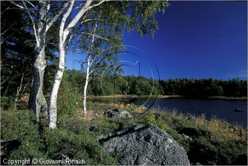 FINLAND - FINLANDIA - RIHTNIEMI (presso Rauma) - paesaggio costiero