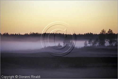 FINLAND - FINLANDIA - paesaggio al tramonto con nebbia sulla strada tra Pori e Kristinestad