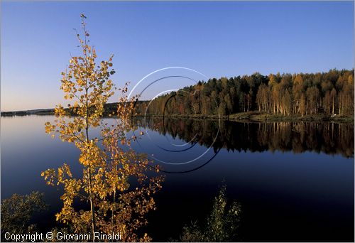 FINLAND - FINLANDIA - Lago Miekoyarvi (Pessalompolo) sulla strada tra Aavasaksa e Rovaniemi