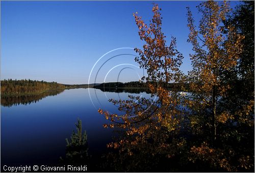 FINLAND - FINLANDIA - Lago Miekoyarvi (Pessalompolo) sulla strada tra Aavasaksa e Rovaniemi