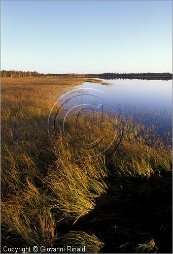 FINLAND - FINLANDIA - Lago Isovietonen sulla strada tra Aavasaksa e Rovaniemi