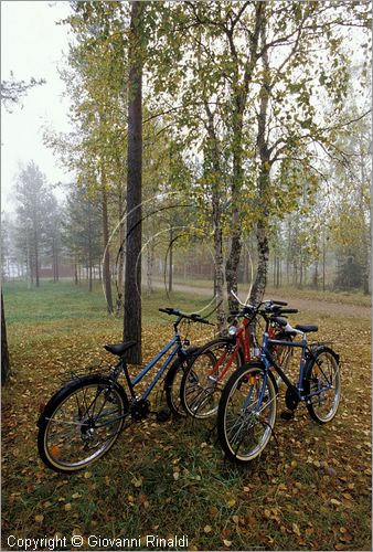 FINLAND - FINLANDIA - presso il Lago Isovietonen sulla strada tra Aavasaksa e Rovaniemi