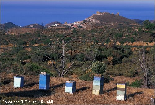 GREECE - CHIOS ISLAND (GRECIA - ISOLA DI CHIOS) - apicoltura presso Volissos