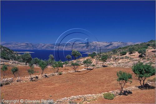 GREECE - CHIOS ISLAND (GRECIA - ISOLA DI CHIOS) - la costa occidentale presso Ormos Elatas