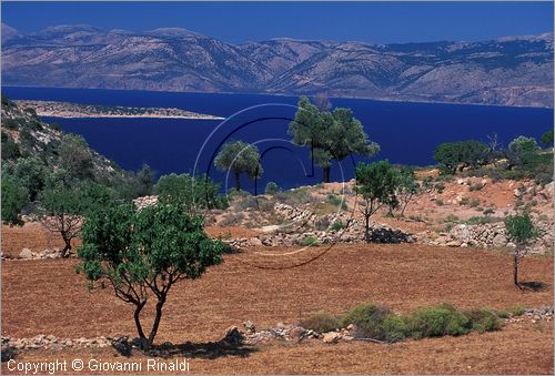 GREECE - CHIOS ISLAND (GRECIA - ISOLA DI CHIOS) - la costa occidentale presso Ormos Elatas