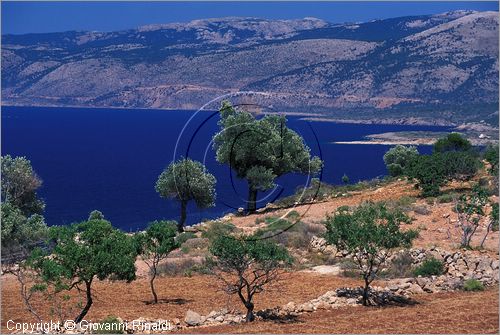 GREECE - CHIOS ISLAND (GRECIA - ISOLA DI CHIOS) - la costa occidentale presso Ormos Elatas