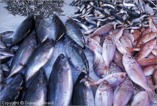 GREECE - CHIOS ISLAND (GRECIA - ISOLA DI CHIOS) - Hios - il mercato alimentare