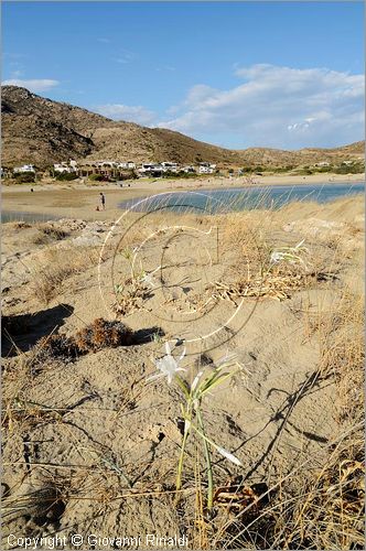 GRECIA - GREECE - Isole Cicladi - Ios - costa sud - Maganari o Manganari