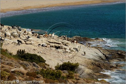 GRECIA - GREECE - Isole Cicladi - Ios - costa est - Plakes beach