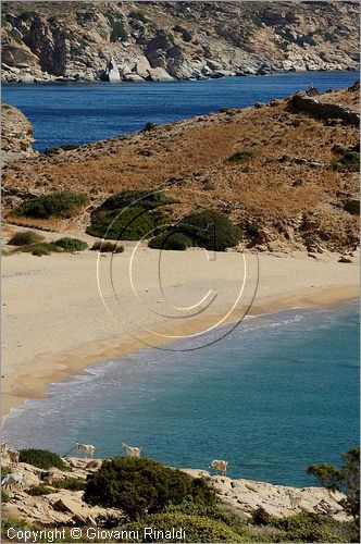 GRECIA - GREECE - Isole Cicladi - Ios - costa est - Plakes beach