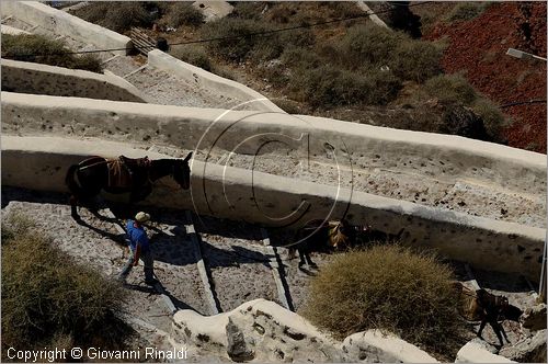 GRECIA - GREECE - Isole Cicladi - Santorini - Oia (La)