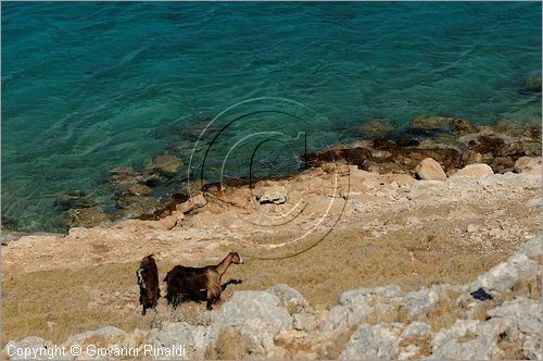 GRECIA - GREECE - Isole del Dodecaneso - Dodecanese Islands - Isola di Arki - costa sud tra le isolette di Macronisi, Tsouka e Kalovolos