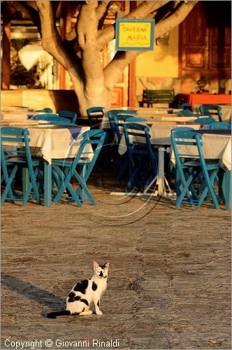 GRECIA - GREECE - Isole del Dodecaneso - Dodecanese Islands - Isola di Halki