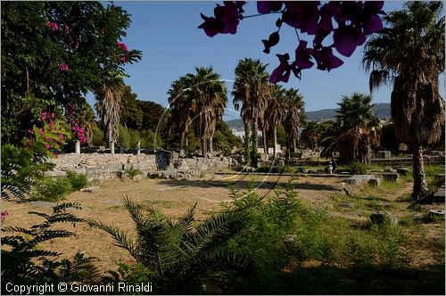 GRECIA - GREECE - Isole del Dodecaneso - Dodecanese Islands - Isola di Kos - Kos citt - Zona archeologica orientale