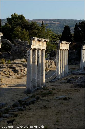 GRECIA - GREECE - Isole del Dodecaneso - Dodecanese Islands - Isola di Kos - Kos citt - Zona archeologica occidentale