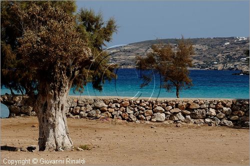 GRECIA - GREECE - Isole del Dodecaneso - Dodecanese Islands - Isola di Lipsi - Lipsos - Leipsi - Plathis Gialos beach