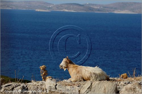 GRECIA - GREECE - Isole del Dodecaneso - Dodecanese Islands - Isola di Lipsi - Lipsos - Leipsi - costa nord orientale