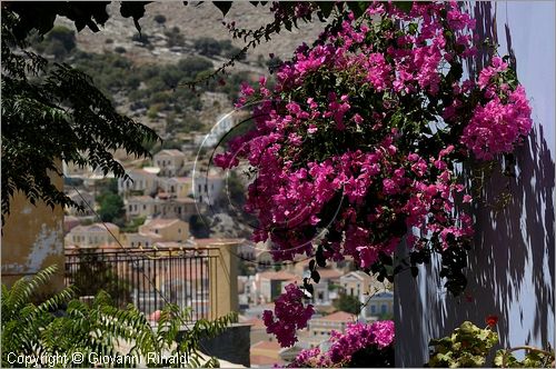 GRECIA - GREECE - Isole del Dodecaneso - Dodecanese Islands - Isola di Simi - Symi - Gialos