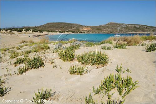 GRECIA - GREECE - Ionio Meridionale - Isola di Elafonisos - costa sud - Ormos Frangos