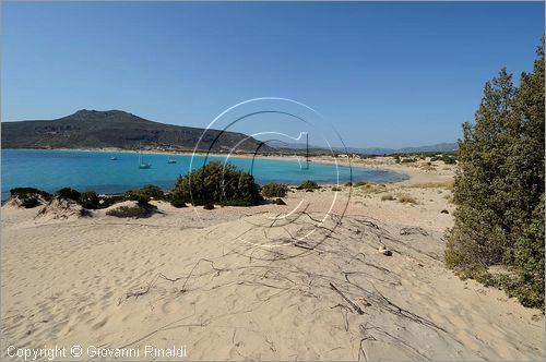 GRECIA - GREECE - Ionio Meridionale - Isola di Elafonisos - costa sud - Ormos Sarakiniko