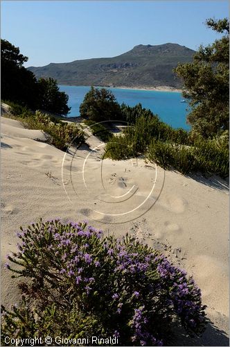 GRECIA - GREECE - Ionio Meridionale - Isola di Elafonisos - costa sud - Ormos Sarakiniko