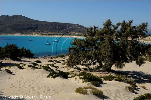 GRECIA - GREECE - Ionio Meridionale - Isola di Elafonisos - costa sud - Ormos Sarakiniko