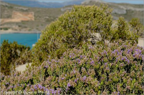 GRECIA - GREECE - Ionio Meridionale - Isola di Elafonisos - costa sud - Ormos Sarakiniko