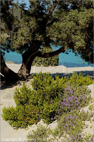 GRECIA - GREECE - Ionio Meridionale - Isola di Elafonisos - costa sud - Ormos Frangos