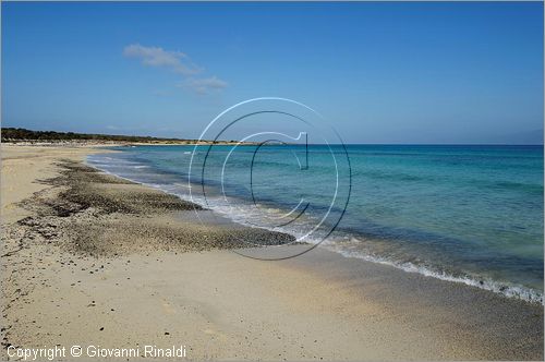 GRECIA - GREECE - Isola di Gaidouronisi detta Chrissi Island (Mar Libico a sud di Creta di fronte a Ierapetra)