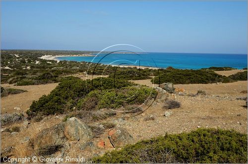 GRECIA - GREECE - Isola di Gaidouronisi detta Chrissi Island (Mar Libico a sud di Creta di fronte a Ierapetra)