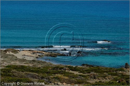 GRECIA - GREECE - Isola di Gaidouronisi detta Chrissi Island (Mar Libico a sud di Creta di fronte a Ierapetra)