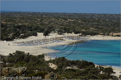 GRECIA - GREECE - Isola di Gaidouronisi detta Chrissi Island (Mar Libico a sud di Creta di fronte a Ierapetra)