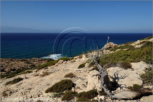 GRECIA - GREECE - Isola di Gavdos (Mar Libico a sud di Creta) - Fokospilio