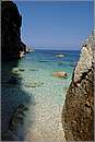 antipaxos_11X_1562mini.jpg