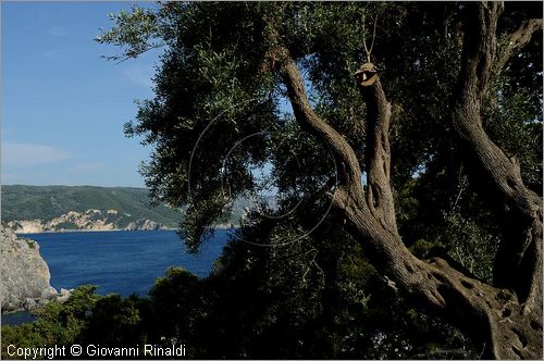 GRECIA - GREECE - Isole Ionie - Ionian Islans - Corf (Krkyra) - Paleokastritsa